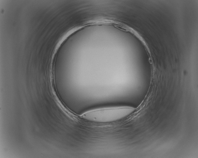 X0000078291195200611030944