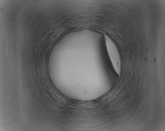 X0000078291201200611030943