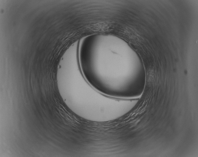 X0000078291202200611030943