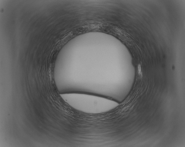 X0000078291203200611030943