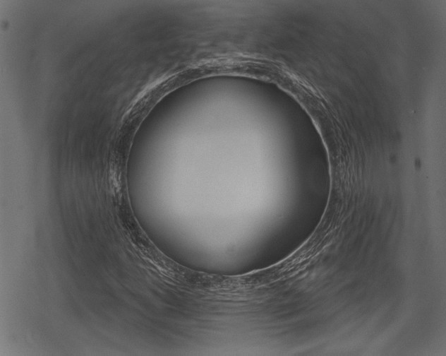 X0000078291206200611030943