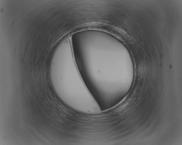 X0000078291209200611030943