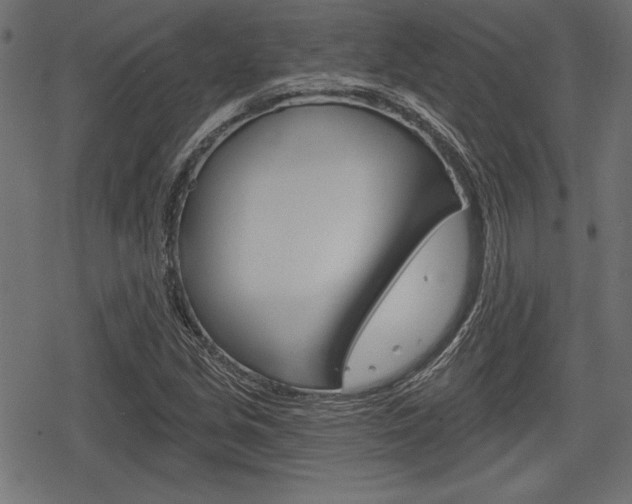 X0000078291213200611030943