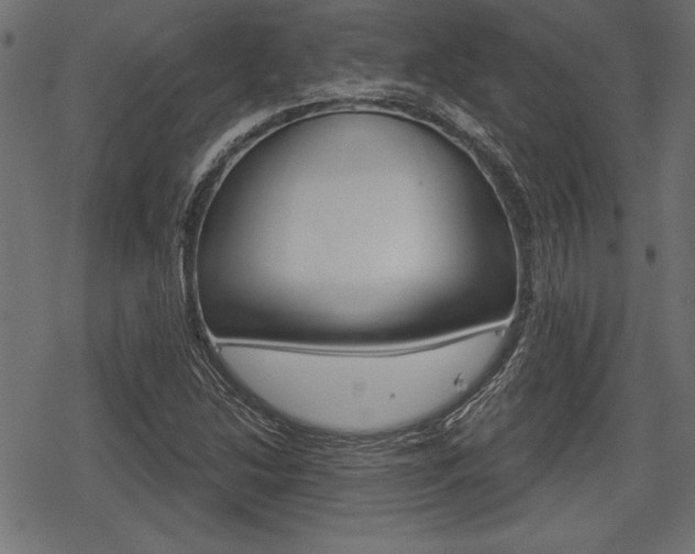 X0000078291214200611030943