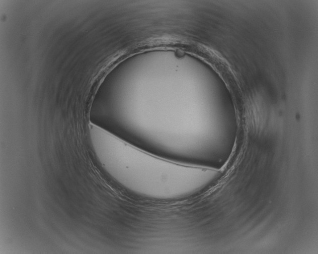 X0000078291217200611030943