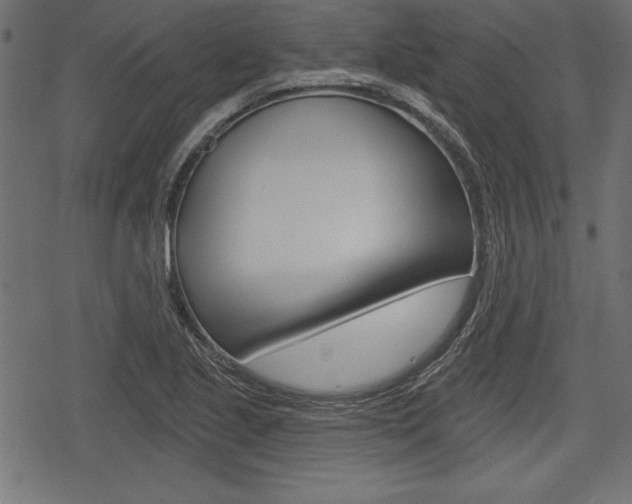 X0000078291221200611030944