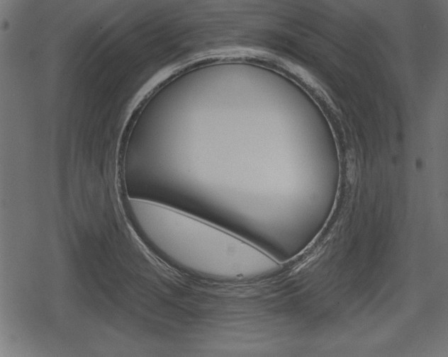 X0000078291229200611030944