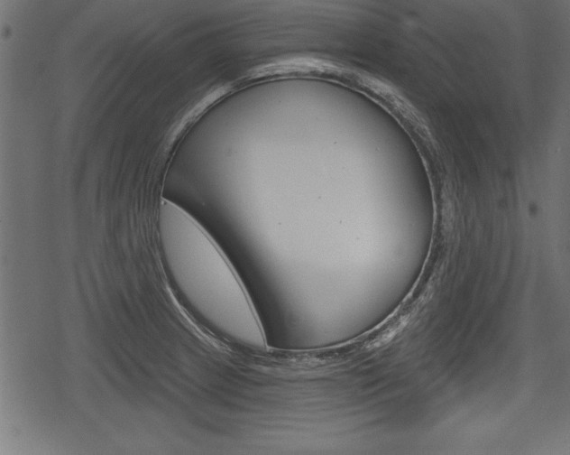 X0000078291233200611030944
