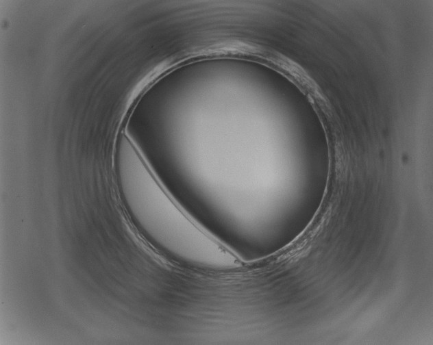 X0000078291234200611030944