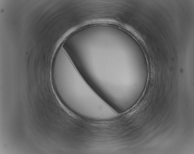 X0000078291237200611030944