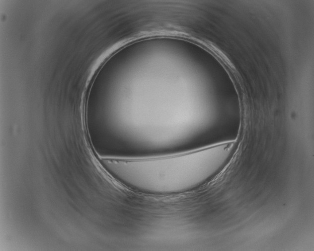 X0000078291246200611030944