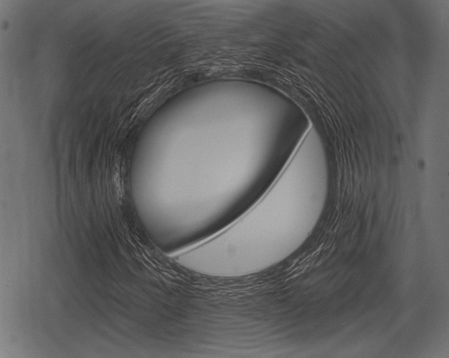 X0000078291250200611030943