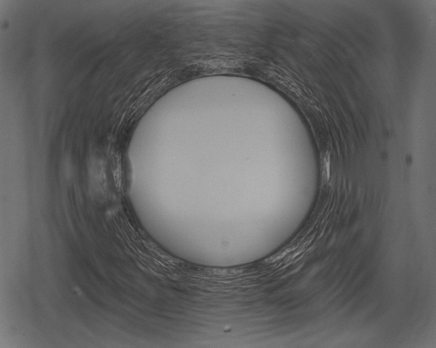 X0000078291251200611030943