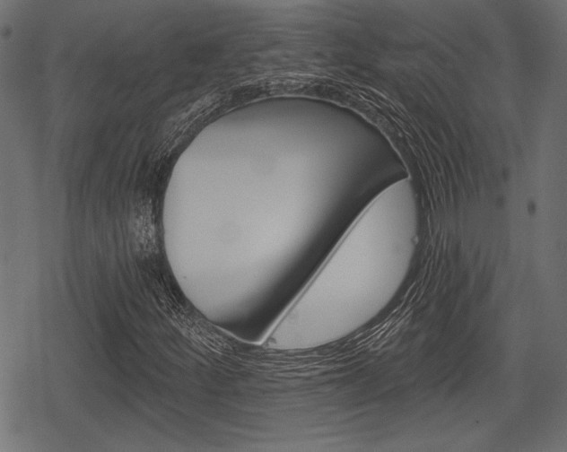 X0000078291252200611030943