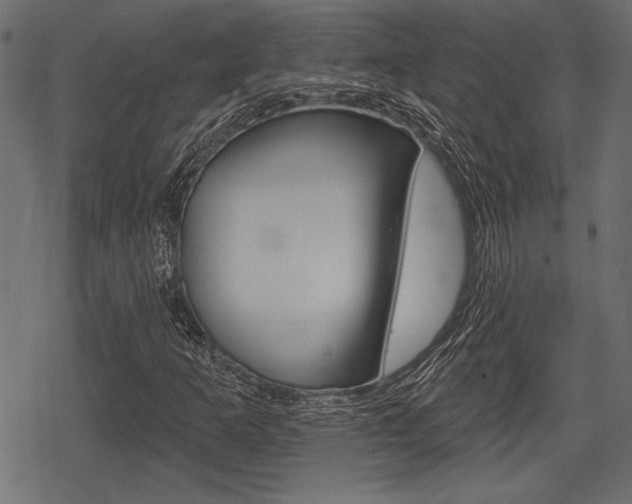 X0000078291253200611030943