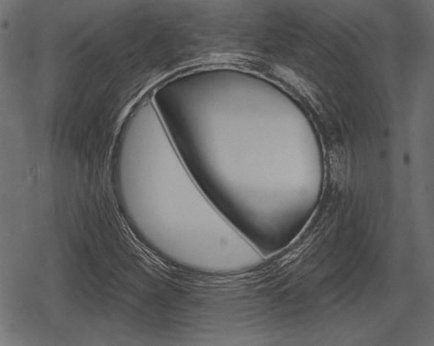 X0000078291260200611030943