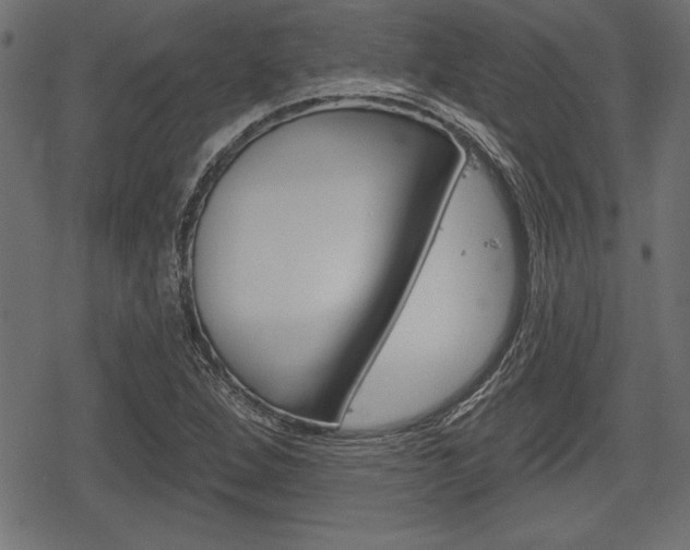 X0000078291264200611030943