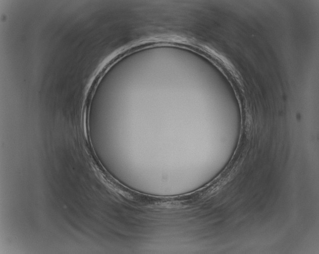 X0000078291272200611030943