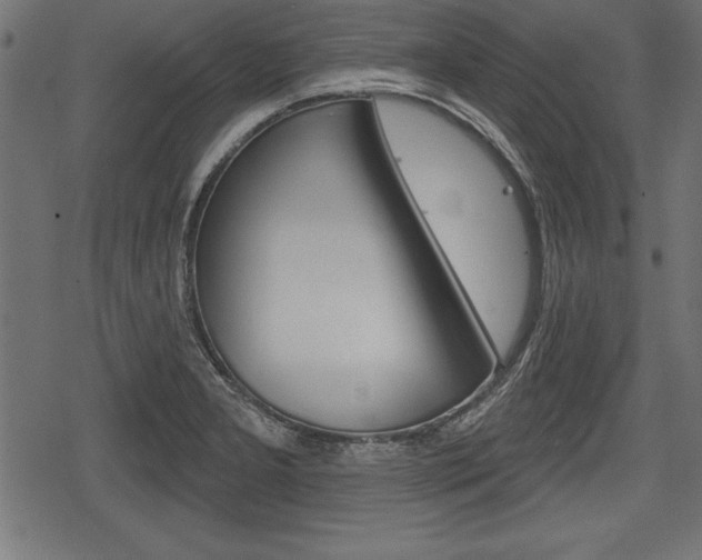 X0000078291277200611030943