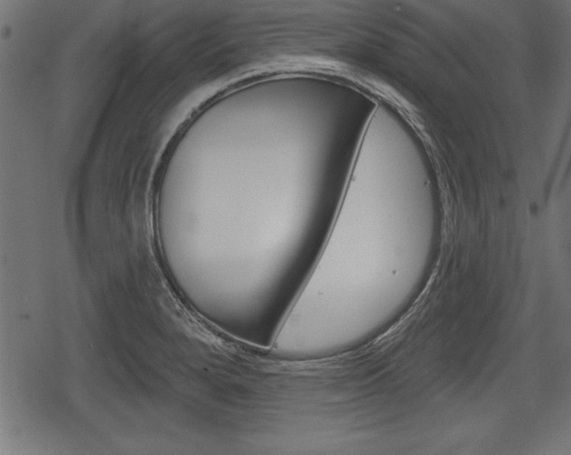 X0000078291280200611030943