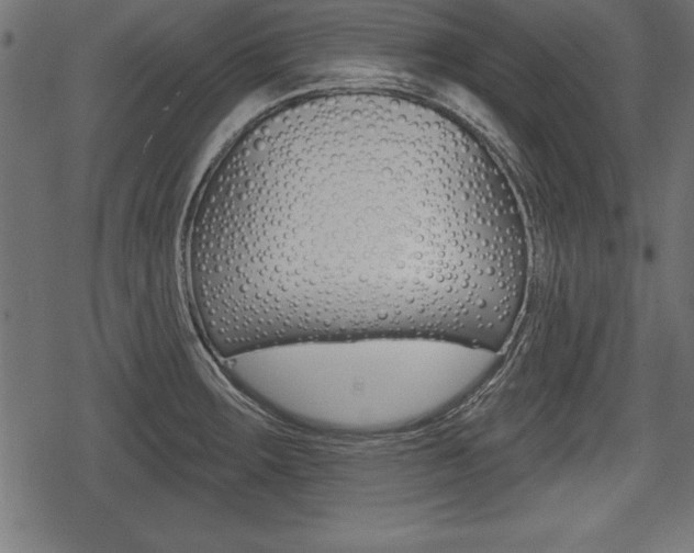 X0000078291283200611030943