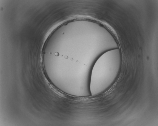 X0000078291287200611030943