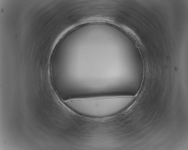 X0000078291288200611030943