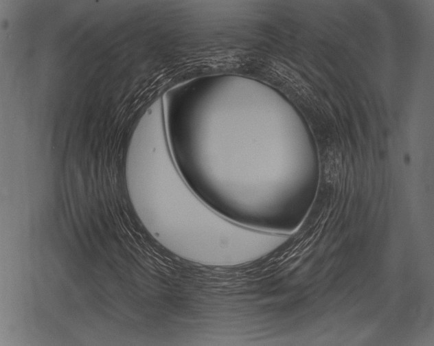 X0000078291298200611030942