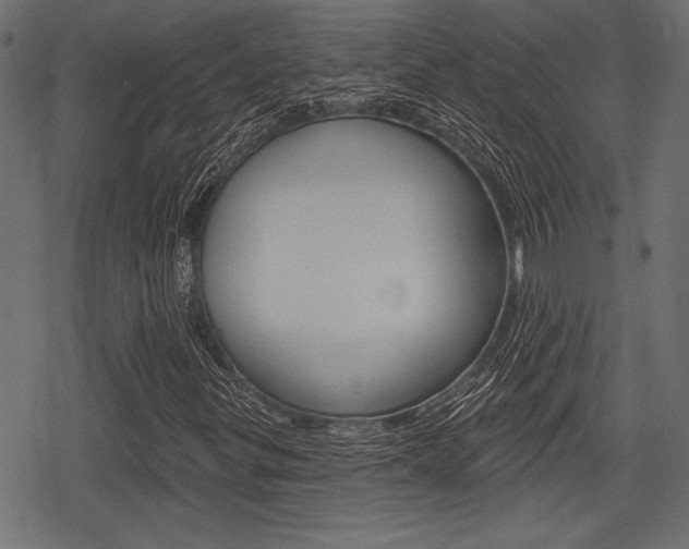 X0000078291299200611030942