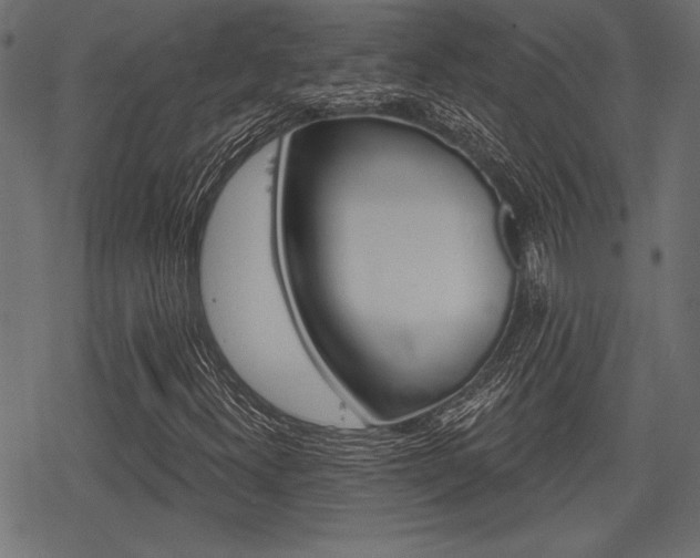 X0000078291300200611030942