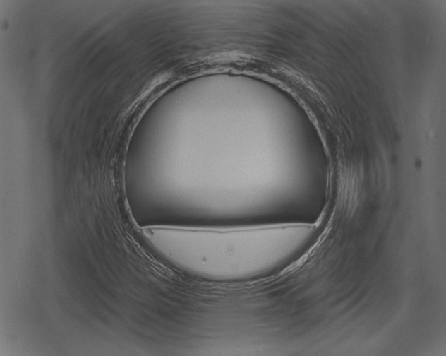 X0000078291305200611030942