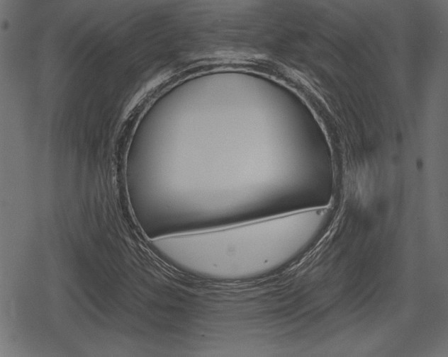 X0000078291307200611030942