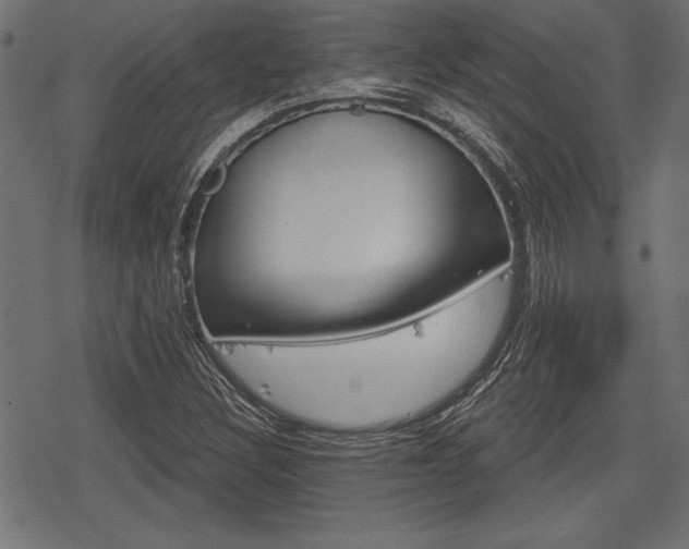 X0000078291308200611030942