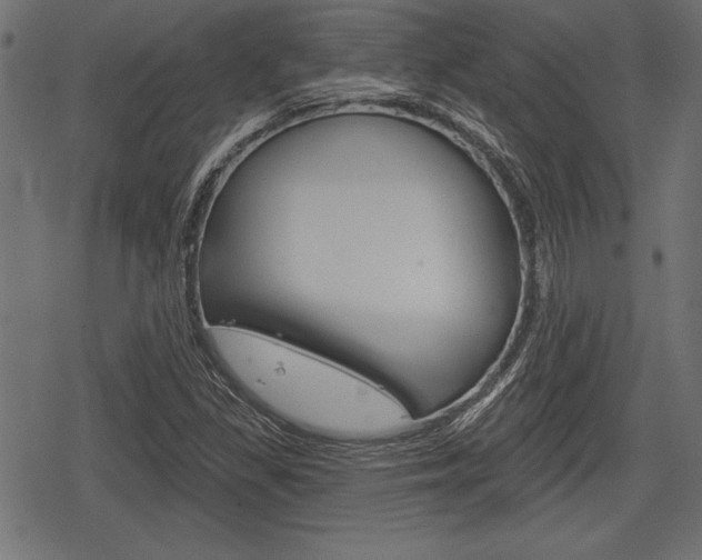 X0000078291309200611030942