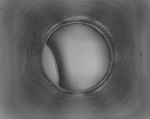 X0000078291313200611030942