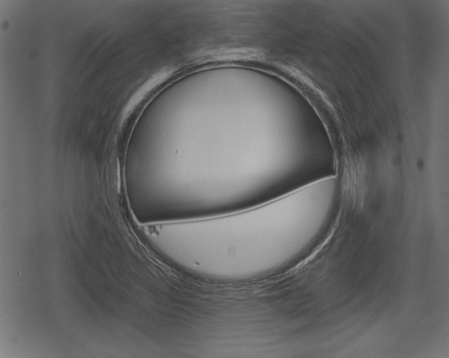 X0000078291317200611030942