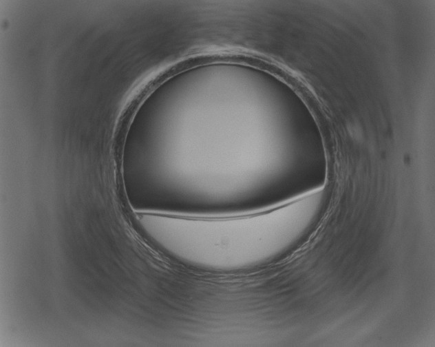 X0000078291319200611030942