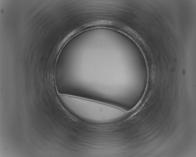 X0000078291321200611030942