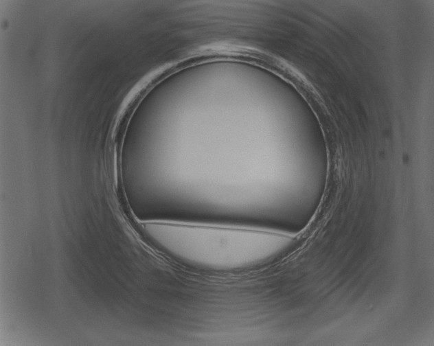 X0000078291323200611030942