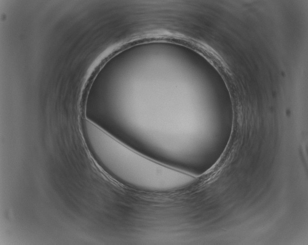 X0000078291326200611030942