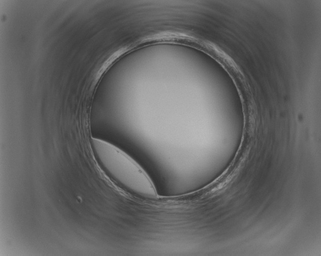 X0000078291329200611030942