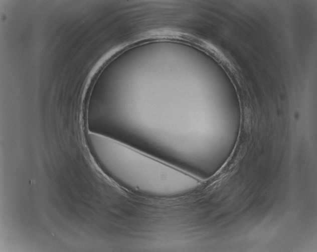 X0000078291331200611030942