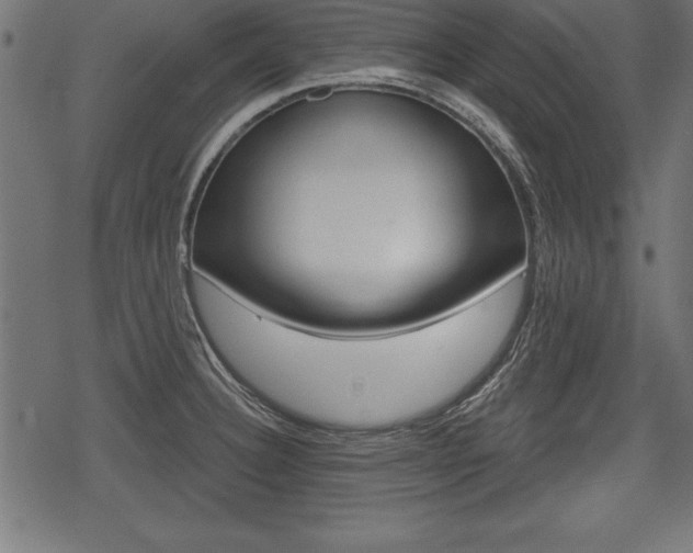 X0000078291332200611030942