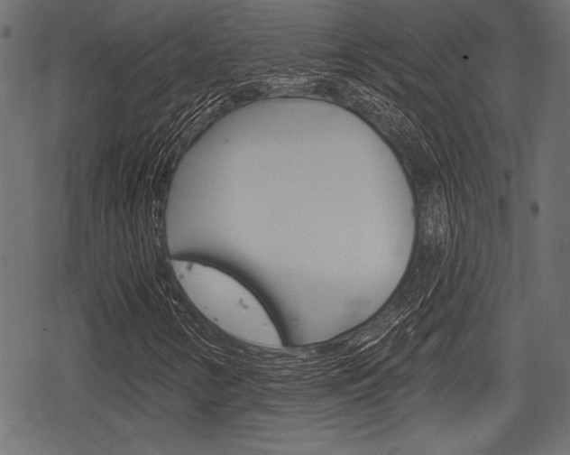 X0000078291346200611030942