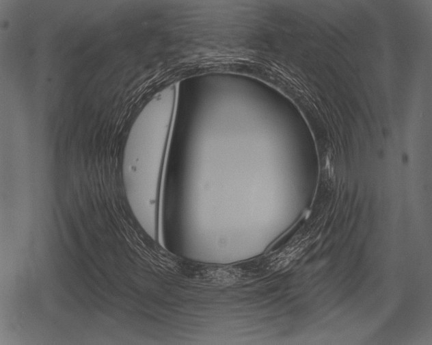 X0000078291348200611030942