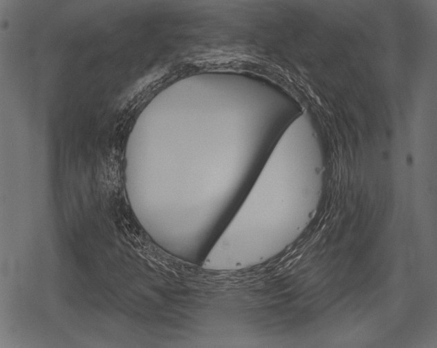 X0000078291350200611030942