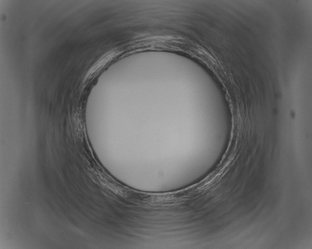 X0000078291354200611030941