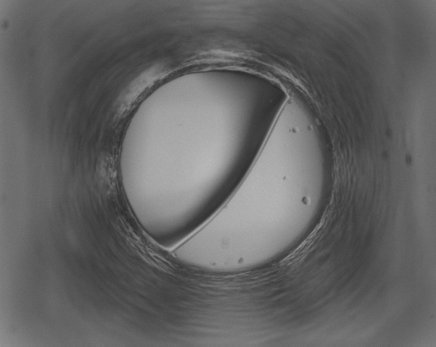 X0000078291355200611030941
