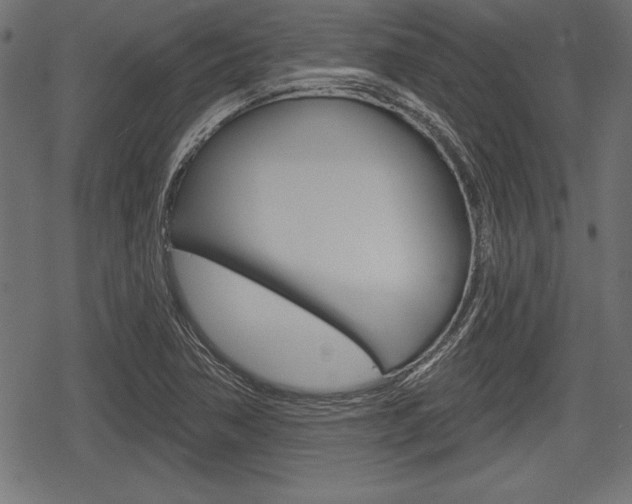 X0000078291362200611030941