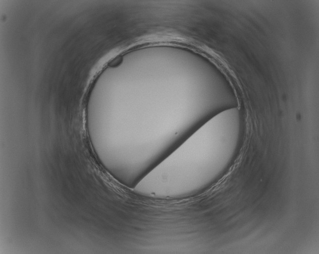 X0000078291366200611030941